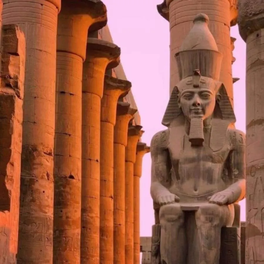 Hotel Nile Cruise Luxor To Aswan Every Monday, Thursday And Saturday And Trip To Abo Simple